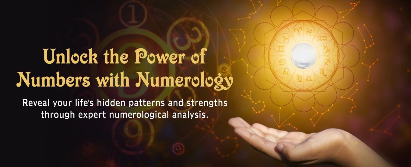 WhatsApp Image 2025-04-11 at 3.09.44 PM