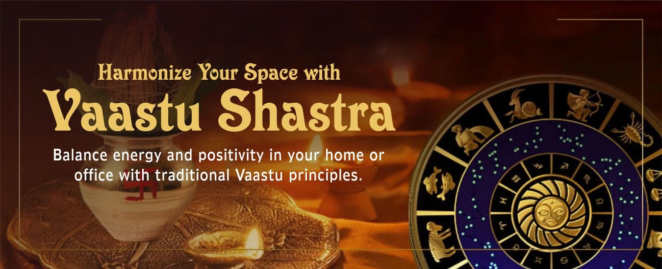 WhatsApp Image 2025-04-11 at 3.09.45 PM